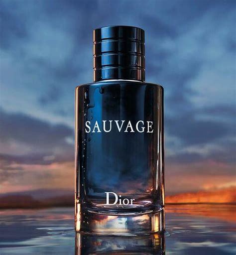 dior sauvage 200 ml edt|Dior Sauvage edt price.